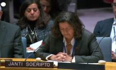 Terremoto negli Usa, la scossa "vissuta" al Consiglio di sicurezza dell'Onu