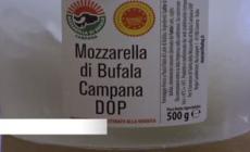 La tracciabilita' della mozzarella di bufala campana dop diventa intelligente