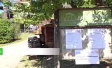 A Roma l'Agri Festival, faro su agricoltura per salute e ambiente