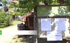 A Roma l'Agri Festival tra agricoltura salute e ambiente