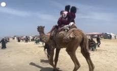 Gaza, tregua in spiaggia a Rafah per le famiglie sfollate