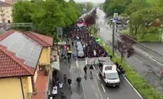 Corteo a Venaria Reale contro il G7 dell'ambiente