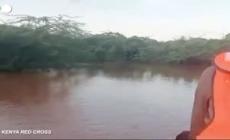 Alluvioni Kenya, il salvataggio di un uomo rifugiato su un albero da 5 giorni