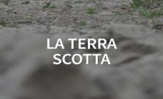 La temperatura della Terra degli ultimi 12 mesi e' la piu' alta mai registrata
