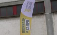 "Superbo", la nuova varieta' di grano che terra' testa alla siccita'