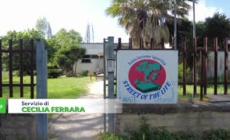 Roma, la palestra vince il bando ma rischia di chiudere per l'affitto triplicato