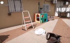 Israele, i danni provocati dai razzi lanciati da Hamas a Herzliya