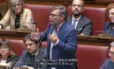 Deputati M5s espongono in Aula bandiere della pace e della Palestina