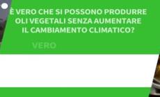 ANSA VERIFIED: E' vero che si possono produrre oli vegetali senza aumentare il cambiamento climatico?