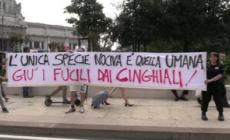 Milano, animalisti e Coldiretti si fronteggiano davanti alla Regione