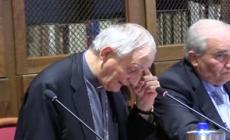 Europa, Zuppi: "E' il nostro giardino da coltivare"