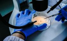 Leucemia, lo studio rivoluzionario  con l'aiuto dell'Università di Parma