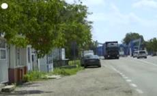 Due balene bianche trasferite dall'Ucraina alla Spagna