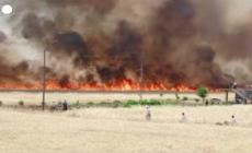 Turchia, incendio nel sudest del Paese: fiamme lambiscono villaggi