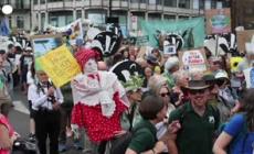 Clima, a Londra  la protesta  "Restore Nature Now"