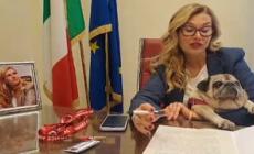 Cane in ufficio, l'onorevole Michaela Biancofiore con il cane Puggy in Senato