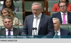 Assange libero, Albanese in Parlamento: "Molto soddisfatto del patteggiamento"
