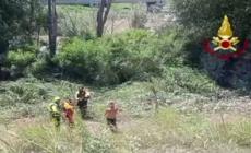 Modena, cane salvato dai Vigili del fuoco nelle acque del Secchia