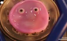 Scienziati giapponesi hanno creato un sorriso "umano" per i robot