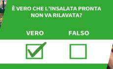 ANSA VERIFIED - E' vero che l'insalata pronta non va rilavata?