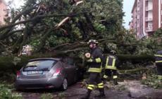 Maltempo a Torino, alberi caduti sulle macchine