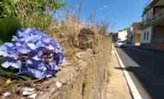 Investe e uccide una donna nel Napoletano, aveva assunto alcol