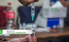Vaccini, la Societa' pediatri italiani: "L'obbligo non si tocca"