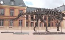 Francia,  all'asta lo scheletro del piu' grande dinosauro mai venduto