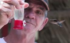 Cuba, il giardino di Barnabe e' un rifugio per colibri'