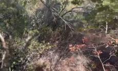Donna scomparsa in Sardegna, resti del corpo erano in un borsone