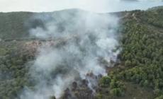 Incendio a Vieste, fiamme nel bosco di Baia San Felice