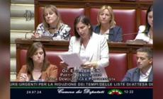 Schlein: "Difendiamo la sanita' dalla privatizzazione strisciante"