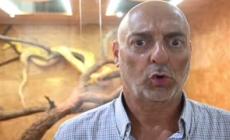 Serpenti in mostra a Genova, l'esposizione al Museo di Storia Naturale