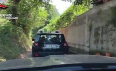 Coltivazione di marijuana scoperta e distrutta dai carabinieri nel Reggino