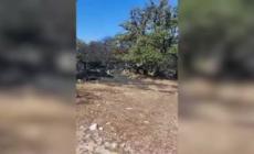 Spento incendio nel Nuorese, piu' di 800 ettari bruciati