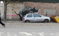Banksy, nello zoo l'ottavo giorno e' del rinoceronte