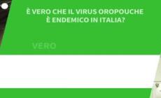 Ansa VERIFIED - E' vero che il virus Oropouche e' endemico in Italia?