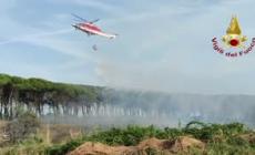 Ravenna, incendio a Pineta di Punta Marina: vigili del fuoco in azione