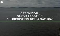 Green deal, nuova legge Ue: "Il ripristino della natura"