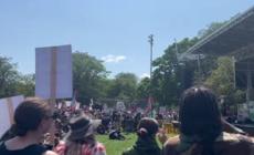 Convention dem a Chicago, manifestanti pro-Palestina a Union Park