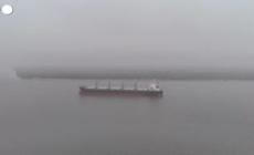 Argentina, isolata nave cargo per caso sospetto vaiolo scimmie