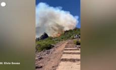 Madeira, i vigili del fuoco combattono un violento incendio