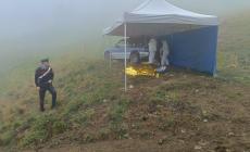 Giovane semi decapitato, tracce di sangue sulla sua auto