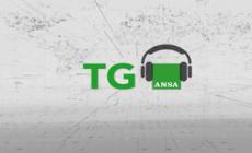 Ansa tg ore 12