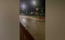 Bergamo, torrente esonda e la corrente trascina via le auto - Video