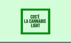 Che cos'e' la cannabis light