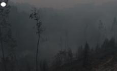 Portogallo, Vigili del fuoco all'opera per arginare gli incendi