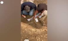Peru', ritrovati i resti di tre mastodonti di oltre 11.000 anni fa