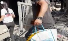 Libano, volontari recuperano gli animali abbandonati