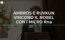 Ambros e Ruvkun vincono il Nobel con i micro Rna